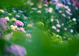 win764位企业版永久激活密钥