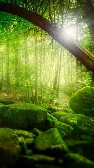 在win7的console中使用ssh客户端