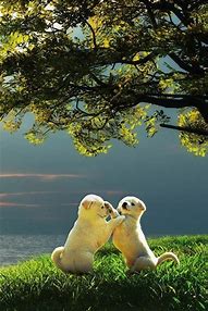 win7电脑还原出厂设置 然后下一步 win7电脑还原出厂设置 然后下一步