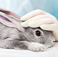 ie8浏览器中文版官方ie8中文版官方下载 win7 32位下载