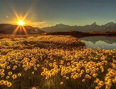 &ldquo;win7系统手动卸载office 2007&rdquo;的解决方案