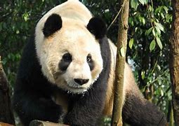 win7登陆 其他用户