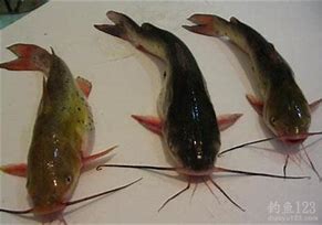 详解如何使用win7自带光盘刻录功能 详解如何使用win7自带光盘刻录功能