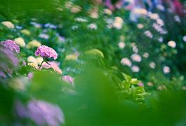 win7纯净版系统下如何手动注册dll文件【图文】 win7纯净版系统下如何手动注册dll文件【图文】