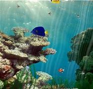 winxp和win7双系统设置启动顺序的方法 winxp和win7双系统设置启动顺序的方法