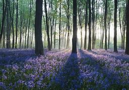 win7家庭版怎么样截屏和怎么样 win7家庭版怎么样截屏