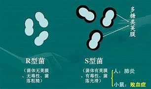 史上最实用的多屏互动教程之pc投屏安卓篇 史上最实用的多屏互动教程之pc投屏安卓篇