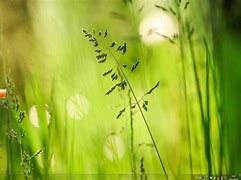 win7鼠标能动但点击桌面无反应 win7鼠标能动但点击桌面无反应