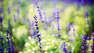 win7激活小马win7激活工具office工具 Windows7旗舰版激活软件