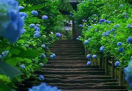 win7旗舰版怎么设置延迟或关闭自动待机? win7旗舰版怎么设置延迟或关闭自动待机?