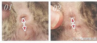 详细教你怎么设置win7管理员权限 详细教你怎么设置win7管理员权限