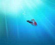 win7找不到internet信息服务和internet win7找不到internet信息服务