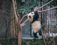 win7鼠标拖不动桌面图标和文件怎么回事？解决方法－系统城