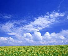 教你解决xp系统换成win7没声音的方法 教你解决xp系统换成win7没声音的方法