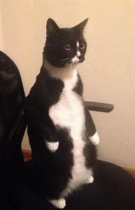 pe ghost win7和ghost pe ghost win7