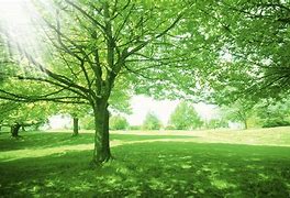 win7装ipx是在闹着玩 &ndash; 死性不改s Blog