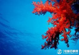 win8怎么设置成win7界面
