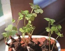 四种方法助你解决win7不显示输入法故障 四种方法助你解决win7不显示输入法故障