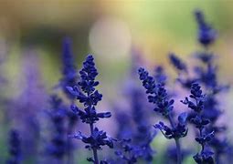 win764位企业版永久激活密钥