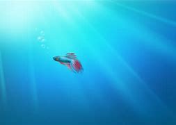 win7共享网络路径 win7共win7系统共享网络路径享网络路径