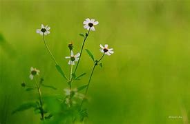 忘记win7开机密码和开机 忘记win7开机密码