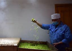 绿茶顺网(网维大师8200)无盘万能包 绿茶顺网(网维大师8200)无盘顺网中间蓝屏win7万能包