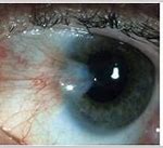 怎么从官网下载原版镜像 知乎 怎么从官网下载原版镜像 知乎