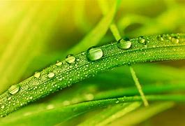 在win7系统中 正在启动WINDOWS 的地方 在win7系统中 正在启动WINDOWS 的地方