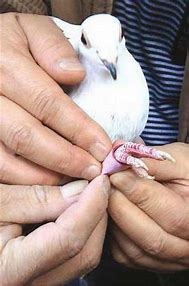 win7百科 7 win7百科 7win7 删除