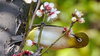 系统系统之家一键重装win7旗舰版之家一键重装 7 0 0