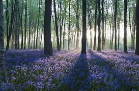 win7用户和网吧用户开启辅助不显示透视框处理方法 win7用户和网吧用户开启辅助不显示透视框处理方法