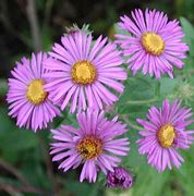 betwin详细教程 betwin详betwin win7教程细教程