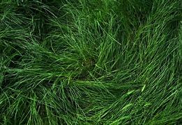 win7多系统启动引导修复工具bcdautofix BCDautofix 下载 V1 0 5 win7多系统启动引导修复工具bcdautofix BCDautofix 下载 V1 0 5