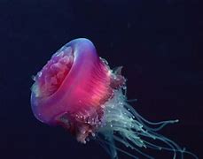 win7一键共享工具下载