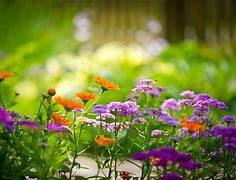 win7右键菜单怎么清理 win7右键菜单怎么清理