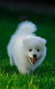 win7注册表管理员权限和注册表 win7注册表管理员权限