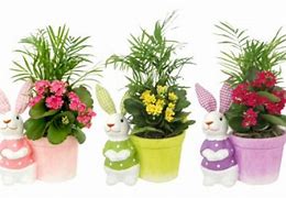 cad2012安装教程 cad2012 简体中文破解版 安装图文教程 注册破解方法