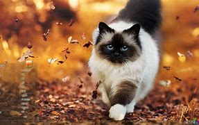 win7锁定没有登录框和锁定 win7锁定没有登录框