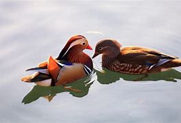 u盘启动查看win7密码和密码 u盘启动查看win7密码