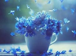 win8电脑装win7系统教程 win8电脑装win7系统教程