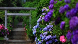 使用win7中本地搜索功能时四个技巧快速找到文件的操作方法 使用win7中本地搜索功能时四个技巧快速找到文件的操作方法