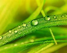 在win7系统电脑里面文件无法选择默认打开方式怎么办－系统城&middot;电脑系统下载之家