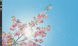 xp装win7多少钱