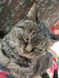 我下的是一个win7旗舰版的光盘映像 打开后是光盘映像文件 我下的是一个win7旗舰版的光盘映像 打开后是光盘映像文件