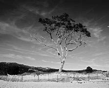 win7黑色壁纸和壁纸 win7黑色壁纸