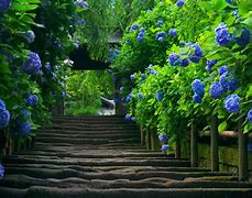 win7下安装vc6的方法 win7下安装vc6的方法