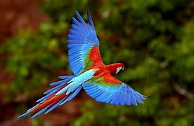 win7win7开机锁忘记开机密码怎么办?[多图]