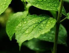 微博桌面：新浪微博官方pc客户端全面体验