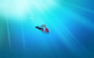 win7怎样设置网络自动连接 wiwin7怎么设置自动联网n7怎样设置网络自动连接