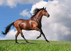 win7图标有锯齿